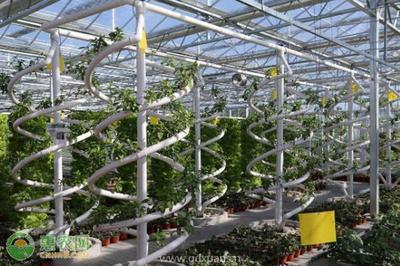 農業科技公司注冊經營范圍及國營貿易管理貨物進出口解析